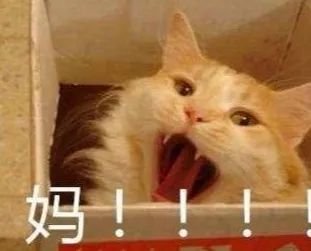 有种爱,叫妈妈给装的行李箱