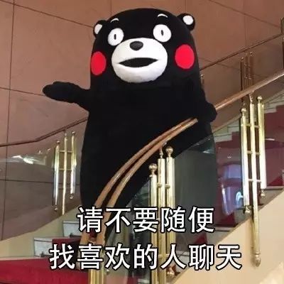 表情包丨不要随便和喜欢的人聊天