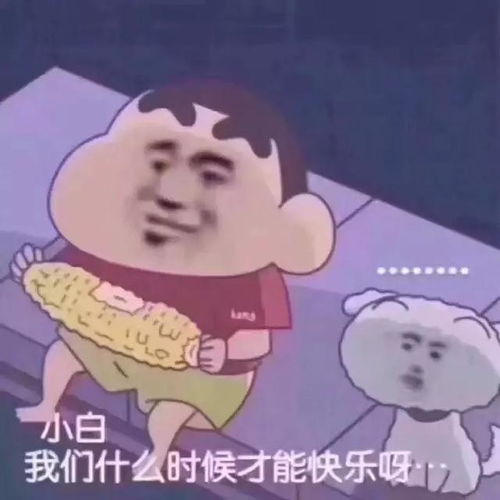 你气任你气,我打我游戏