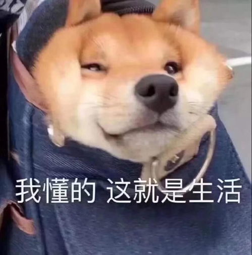 情感