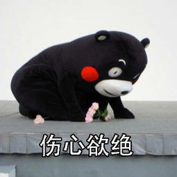 照片开学了伤心欲绝表情包熊本熊明天我就要少女昀yun的美拍