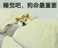 夜谈我在夜里做自己你在自杀生活