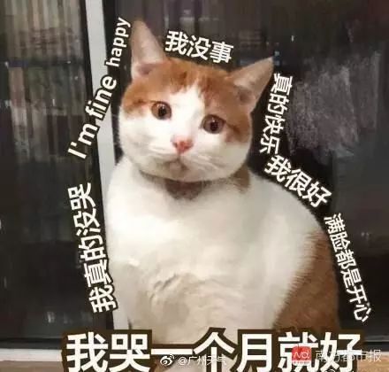 暴雨突袭,快get下这份出行指南