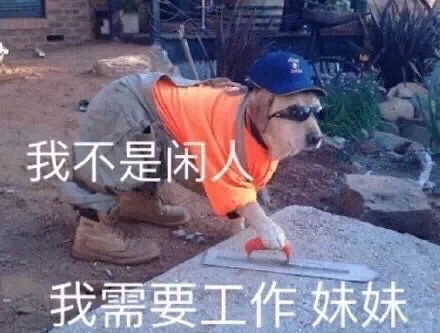 流口水的表情包熊猫打工记