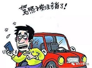 浙k车主注意这样做你的驾驶证可能会被注销