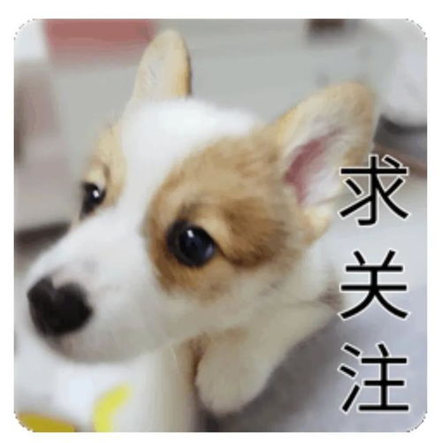angelababy连爬十层楼,累到表情失控翻白眼,太辛苦了