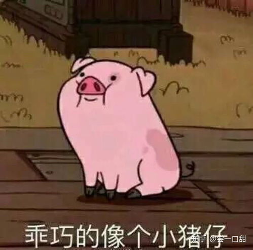 你有什么理由不回宿舍