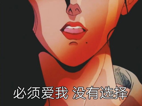 渣女表情包别爱我,没结果
