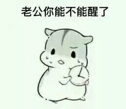 小仓鼠表情包