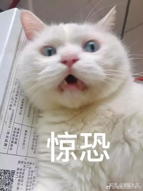 哪一刻,让人觉得场面快要无法控制了