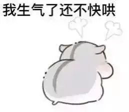 可爱仓鼠表情包可爱萌卡通动漫gif纯文字堆糖,美好生活研究所
