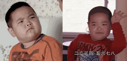 z世代的第二语言万物皆可表情包