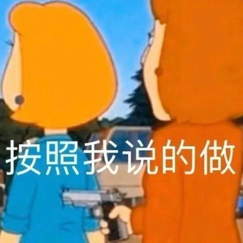 王思聪孙一宁表情包大合集