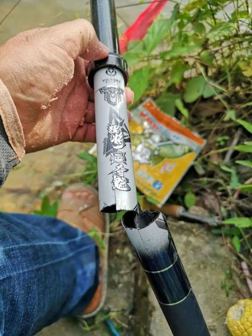 钓鱼戴头盔是什么梗说到底就是套路而已,看懂可避坑