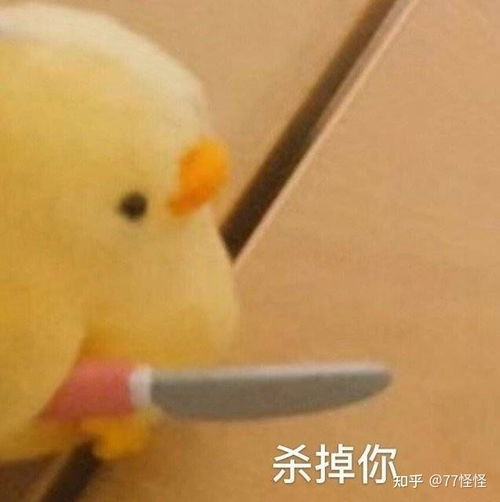 天津大学是否有研究生宿舍,条件如何