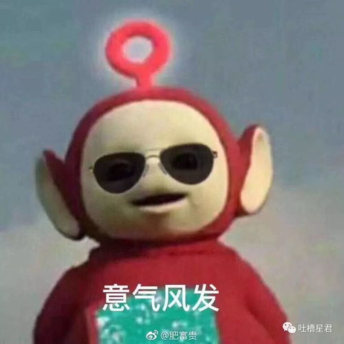 趴着的表情包图片石膏