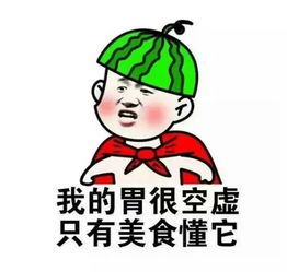 意境美图同人动物键盘壁纸大海搞笑g堆糖,美好生活研究所