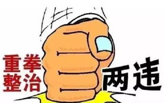 邓州古城广场湿地公园等地每天都挤满了人,只为看这6个......