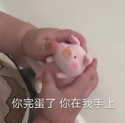 斗图表情包合集想谈恋爱了,大家快劝劝我