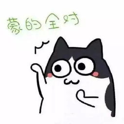 刚刚,南外小升初摇号完整名单出炉现在,你们最关心的面测须知来了