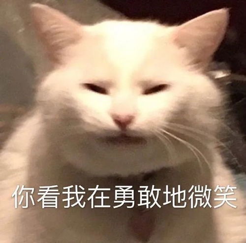 表情包你这个小朋友真可爱