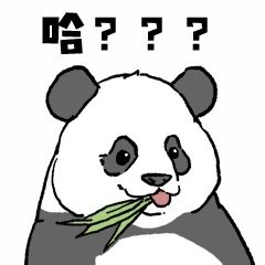 爱福之人必看16个福宝打开方式
