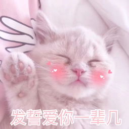 发誓爱你一辈几猫咪猫咪一辈发誓表情发表情fabiaoqing.com
