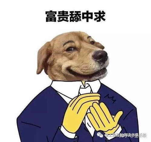 性,舔狗,急支糖浆,少女和资本主义的关系