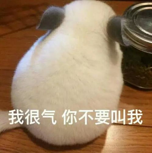 开心一刻笑话今天午休的时候,一同事把我叫到了没人的仓库