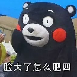 节目