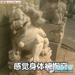 石狮子表情图片下载逗比石狮子表情包无水印版下载飞翔下载