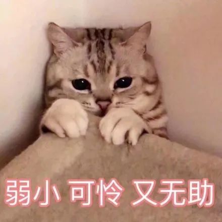 100位新娘的过来人经验,避免80的婚礼遗憾绝对没问题