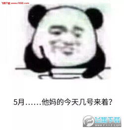 熊猫头记仇表情包下载熊猫头记仇表情图片下载飞翔下载