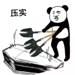 最全熊猫头棺材系列表情包暴雨天气被安排的明明白白﹃