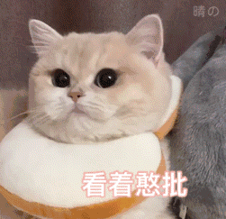 3.30表情包让我看看我的爱情在哪里
