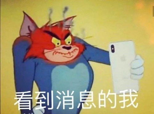 表情包猫和老鼠表情包