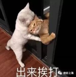 妈妈再打我一次母亲节套装火了网友说吧想打手还是打屁股