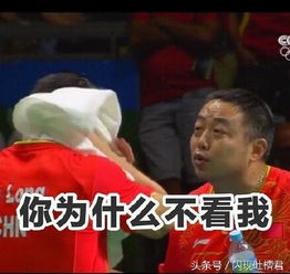 闵鹿蕾表情包胖胖