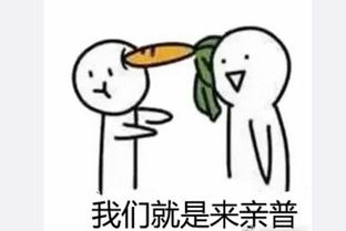 来亲普表情包完整版下载王菲来亲普表情包汇总无水印分享