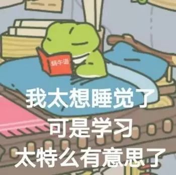 沉迷敲代码表情包桌子