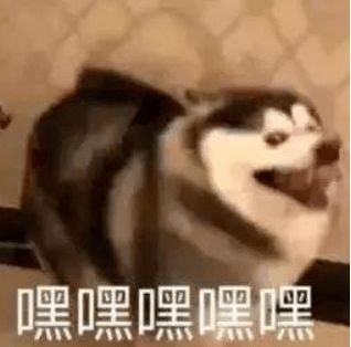 家长注意,深圳两区发布小初学位申请预告这些工作可提前准备