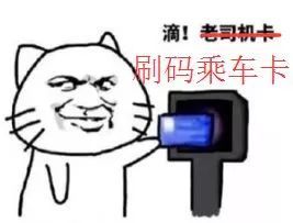 看完这视频你一定会尖叫大郑州坐公交居然不用给钱了