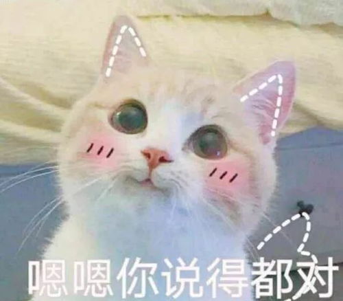 我们一会像夏天,一会像秋天