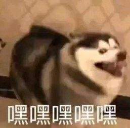一梦江湖整活现场,玩还是你们会玩