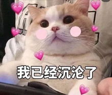 连衣裙就买这5条能让你美一整个春夏
