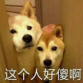 你怎么跟狗一样表情包