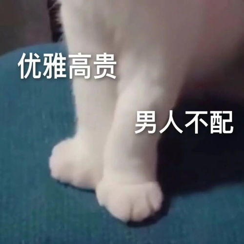 热烈欢迎表情包这波