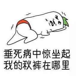 沉迷梦中惊坐起不如给大家送点礼