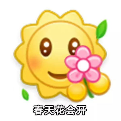 小黄脸表情包五