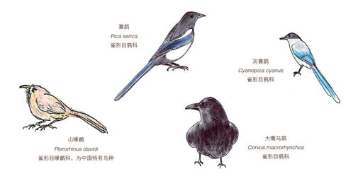 猫冬预备深吸一口蔬果草木鸟兽林石,在里山与自然同频共振